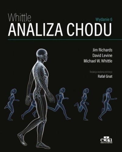 Analiza chodu