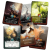 bestia7.png
