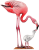 rebel-dodatek-na-skrzydlach-ptaki-ameryk-art1.png
