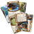 horror-w-arkham-gra-karciana-talia-badacza-carolyn-fern1.png