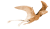 rebel-gra-strategiczna-first-giants-muzeum-paleontologiczne-art1.png