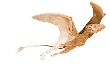 rebel-gra-strategiczna-first-giants-muzeum-paleontologiczne-art1.png