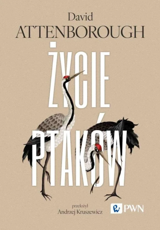 Życie ptaków