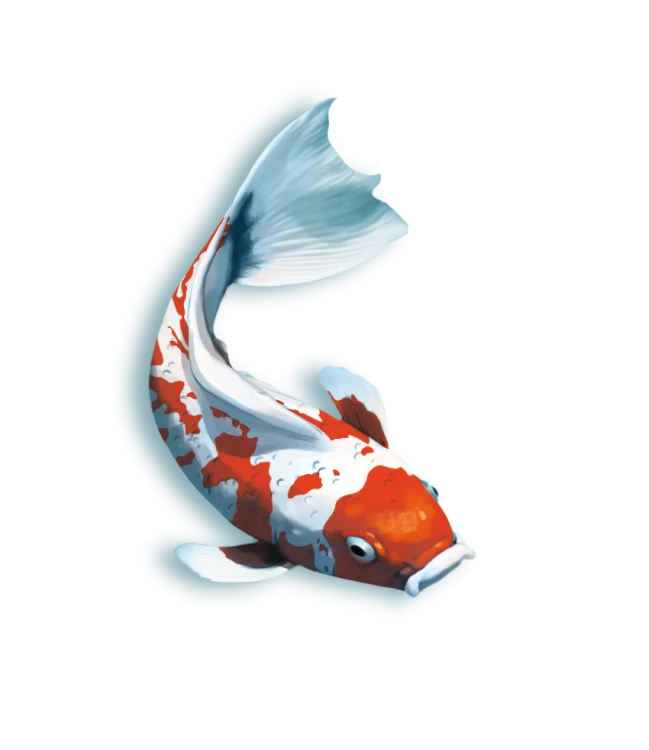 rebel-gra-strategiczna-koi-art2.png