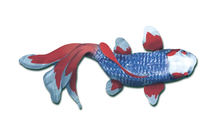 rebel-gra-strategiczna-koi-art3.png