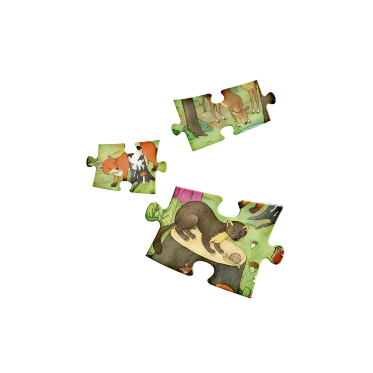 nasz_las_2.png