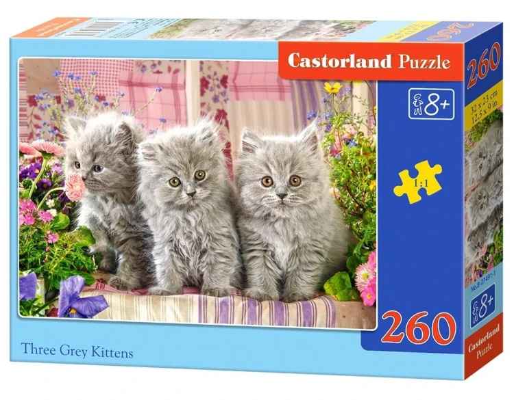 298928.jpg