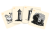 rebel-dodatek-tajniacy-basnie-asset2.png