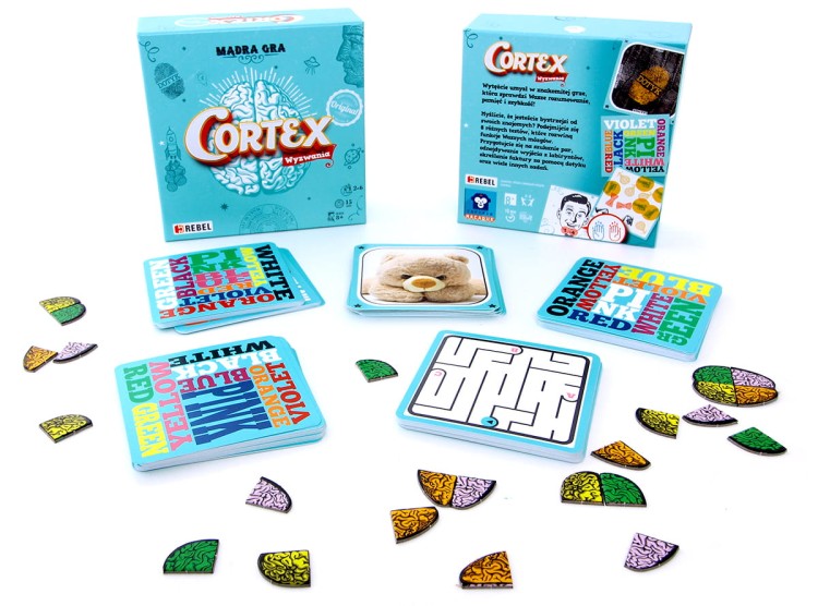 cortex 2.jpg